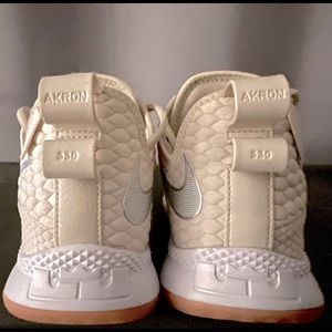 Nike Lebron Witness Akron 330’s